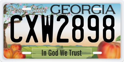 GA license plate CXW2898