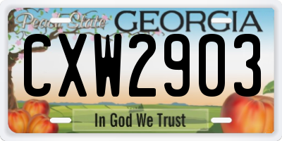 GA license plate CXW2903