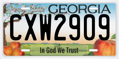 GA license plate CXW2909