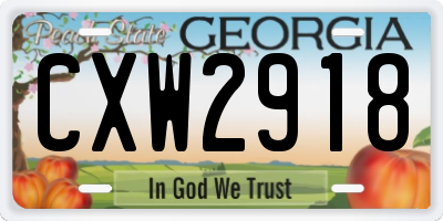 GA license plate CXW2918