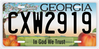 GA license plate CXW2919