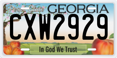GA license plate CXW2929