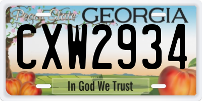 GA license plate CXW2934