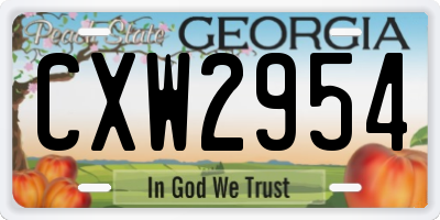 GA license plate CXW2954