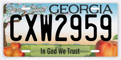 GA license plate CXW2959