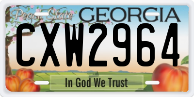 GA license plate CXW2964