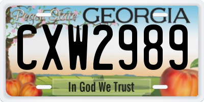 GA license plate CXW2989