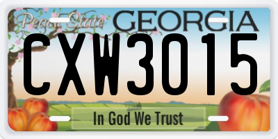 GA license plate CXW3015