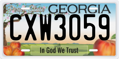 GA license plate CXW3059