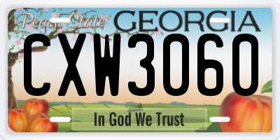 GA license plate CXW3060