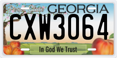 GA license plate CXW3064