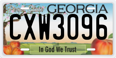 GA license plate CXW3096