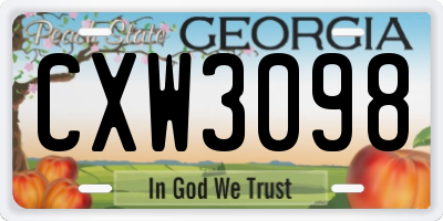GA license plate CXW3098
