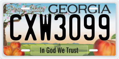 GA license plate CXW3099