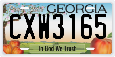 GA license plate CXW3165