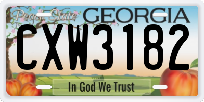 GA license plate CXW3182