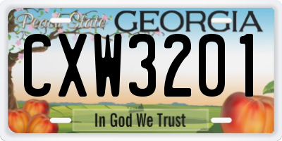 GA license plate CXW3201