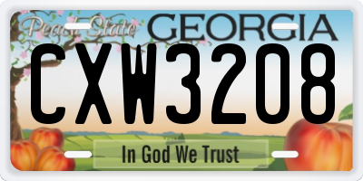 GA license plate CXW3208