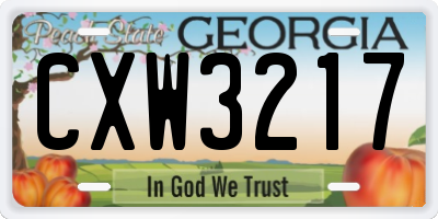 GA license plate CXW3217