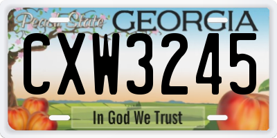 GA license plate CXW3245