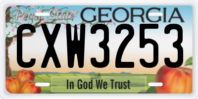 GA license plate CXW3253