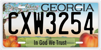 GA license plate CXW3254