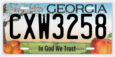 GA license plate CXW3258