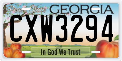 GA license plate CXW3294