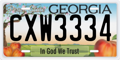 GA license plate CXW3334