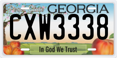 GA license plate CXW3338