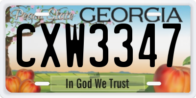GA license plate CXW3347