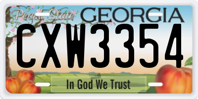 GA license plate CXW3354