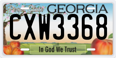 GA license plate CXW3368