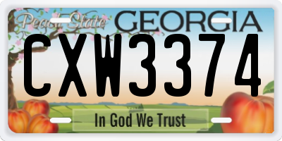 GA license plate CXW3374
