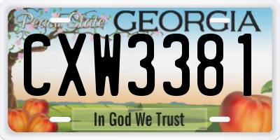 GA license plate CXW3381
