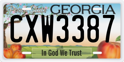 GA license plate CXW3387