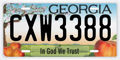 GA license plate CXW3388