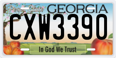 GA license plate CXW3390