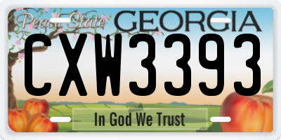 GA license plate CXW3393