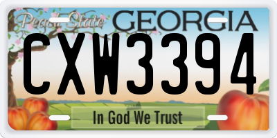 GA license plate CXW3394