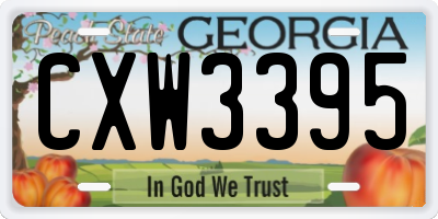 GA license plate CXW3395