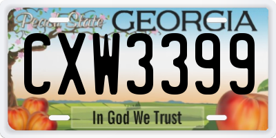 GA license plate CXW3399