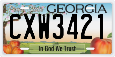 GA license plate CXW3421