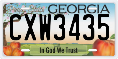 GA license plate CXW3435