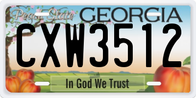 GA license plate CXW3512