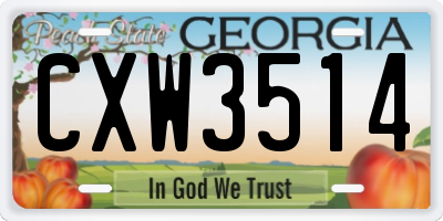 GA license plate CXW3514