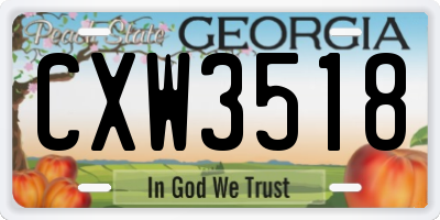 GA license plate CXW3518