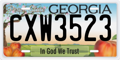 GA license plate CXW3523