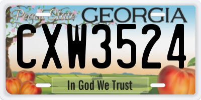GA license plate CXW3524