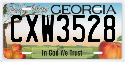 GA license plate CXW3528